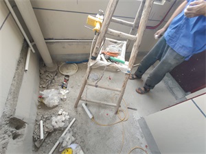 IMG_20190807_095125.jpg