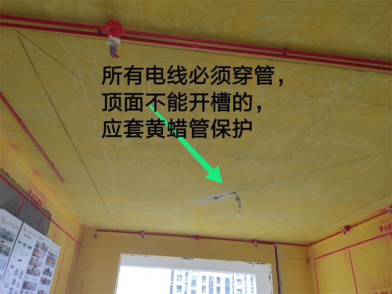 IMG_20190809_123422.jpg