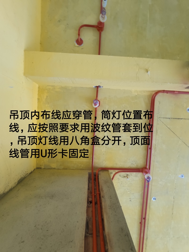 IMG_20190809_125651.jpg