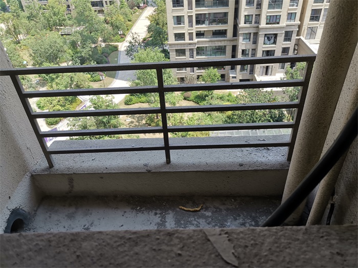 IMG_20190726_105830.jpg