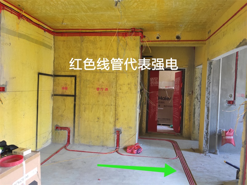 IMG_20190806_103558.jpg