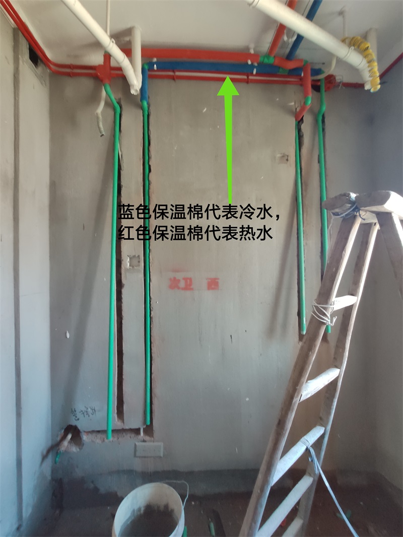 IMG_20190808_083854.jpg