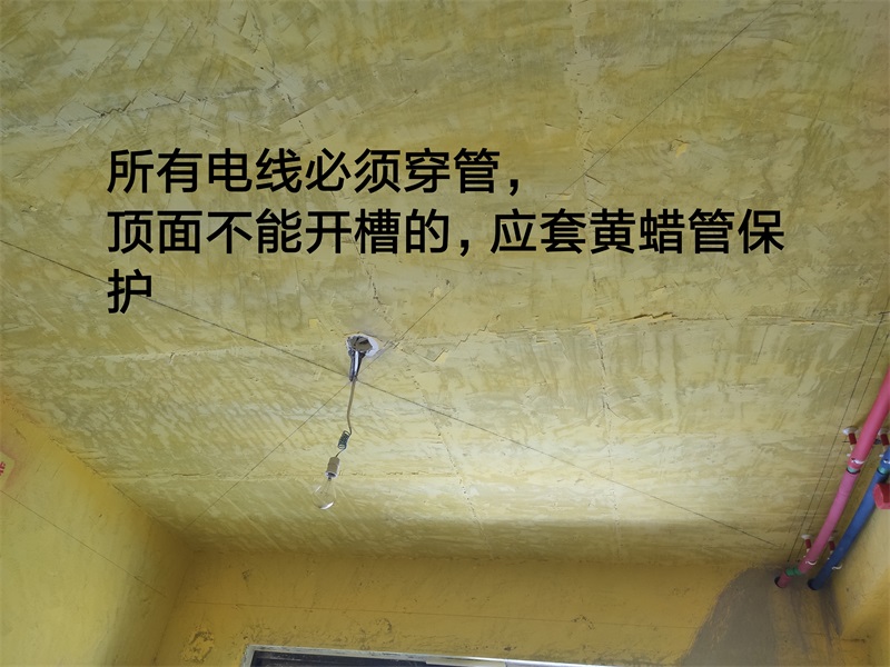 IMG_20190808_084641.jpg