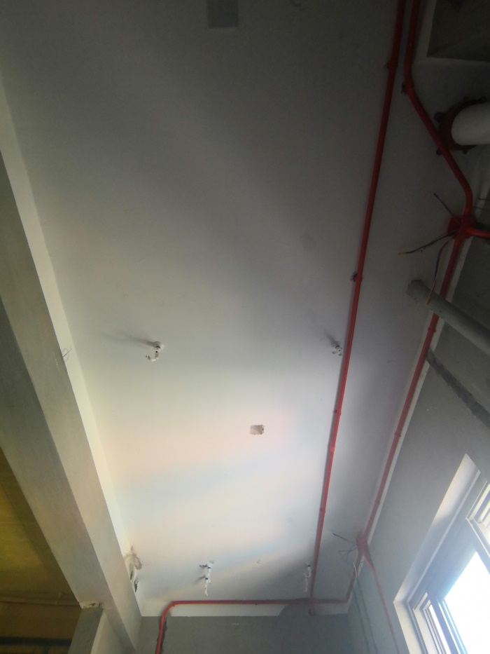 IMG_20190808_102309.jpg