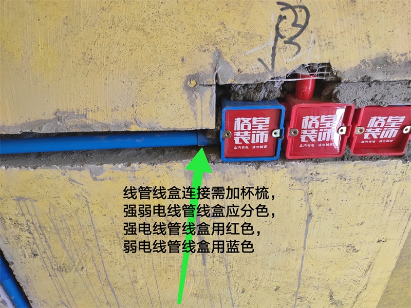 IMG_20190808_085538.jpg