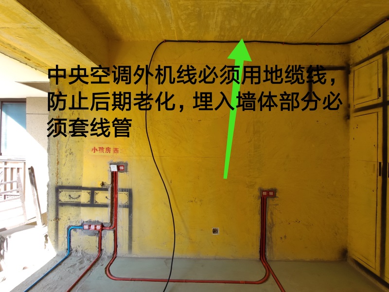 IMG_20190808_085314.jpg