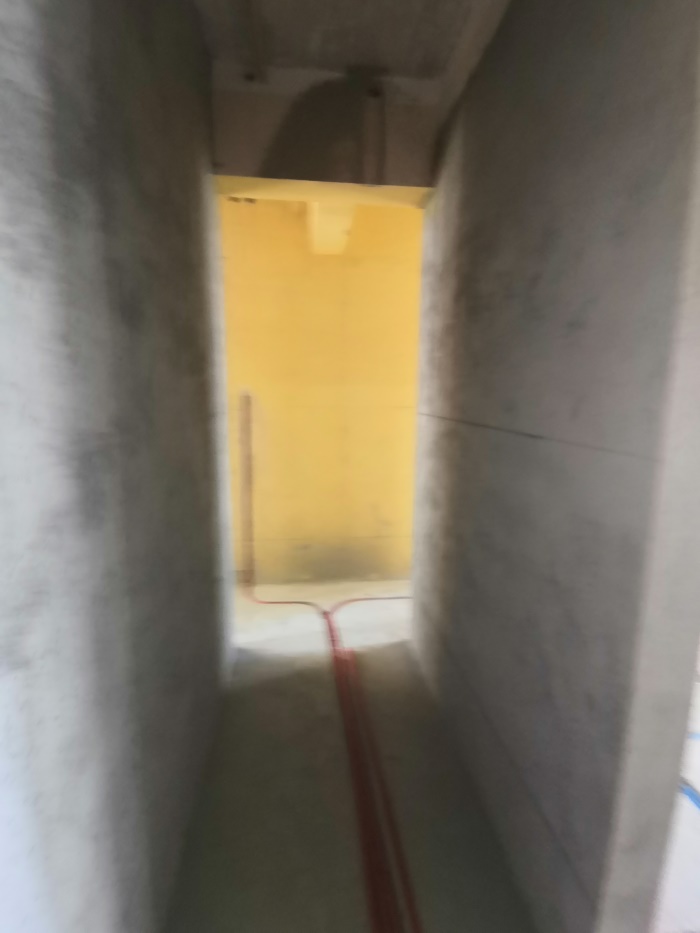IMG_20190808_102417.jpg