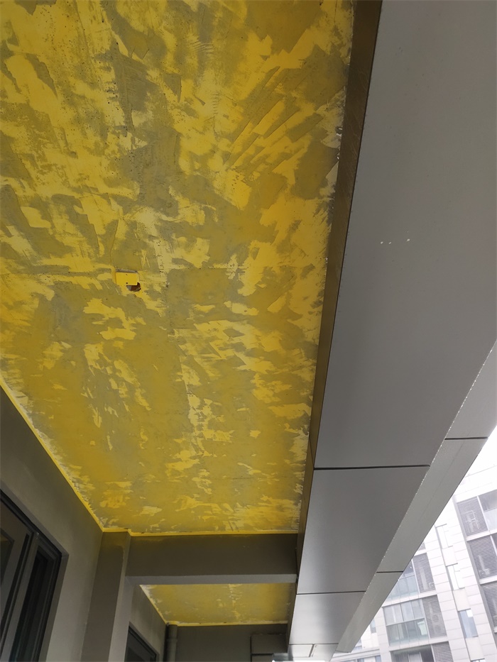 IMG_20190713_103746.jpg