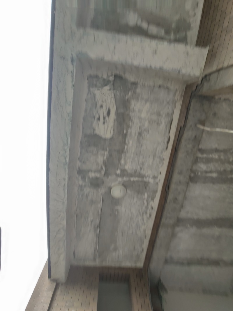 IMG_20190710_154643.jpg