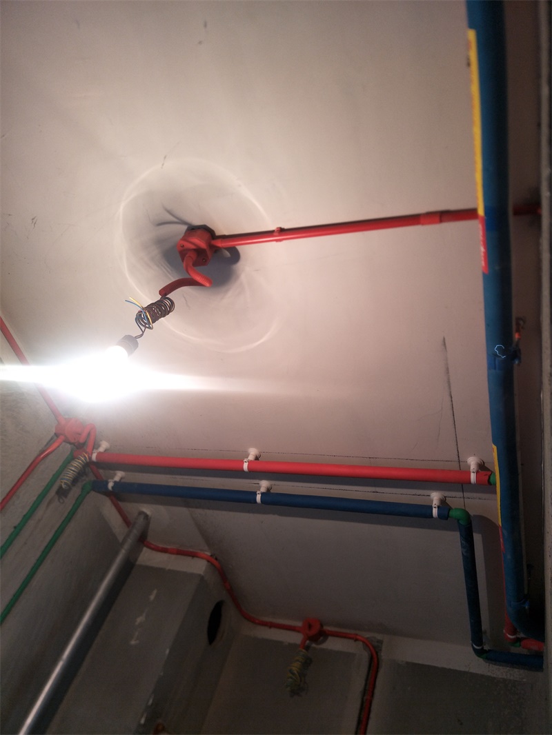 IMG20190810134641.jpg