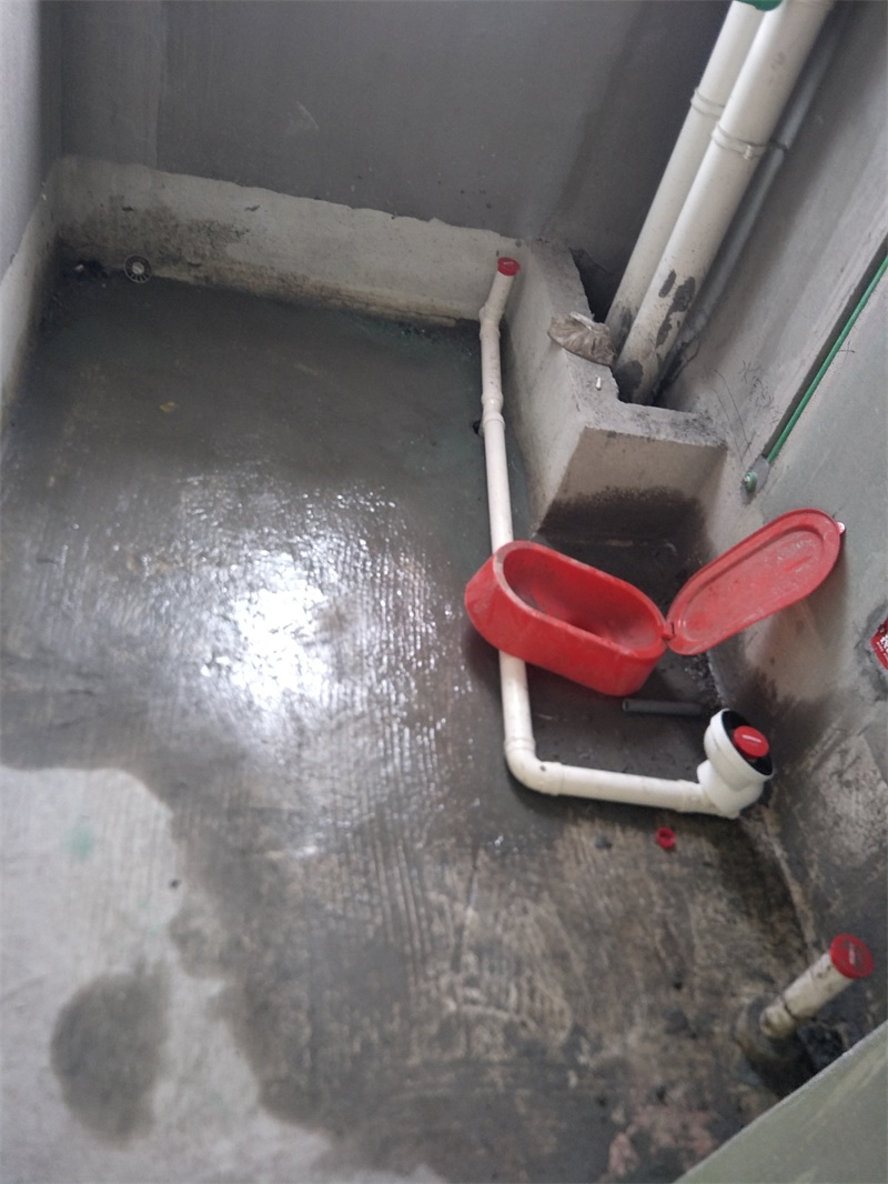 IMG20190810135026.jpg
