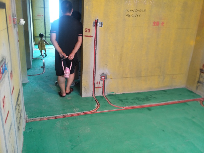 IMG20190810135244.jpg