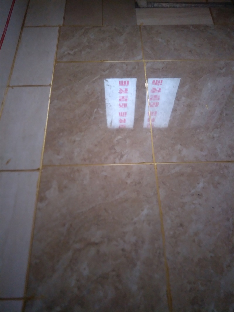 IMG20190810074556_1.jpg