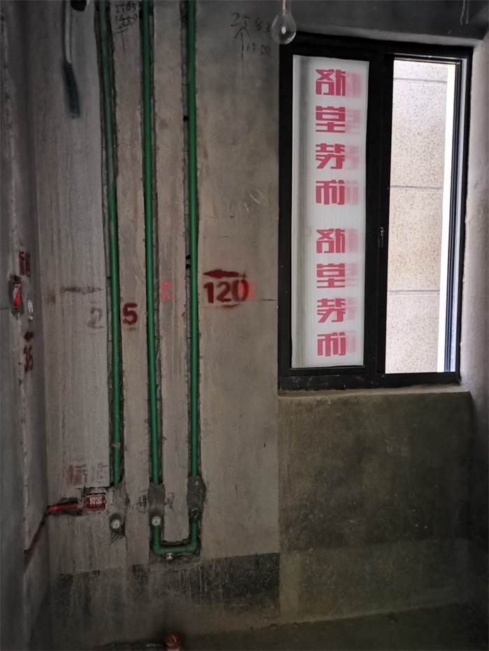 IMG_20190806_095509.jpg