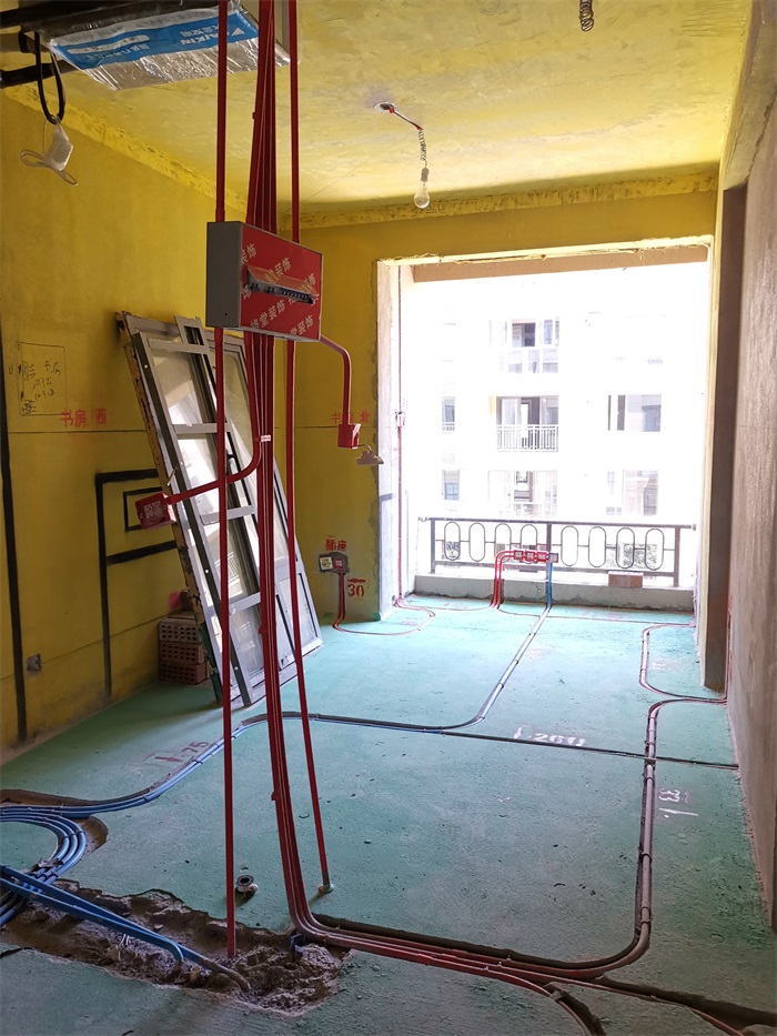 IMG_20190806_095331.jpg