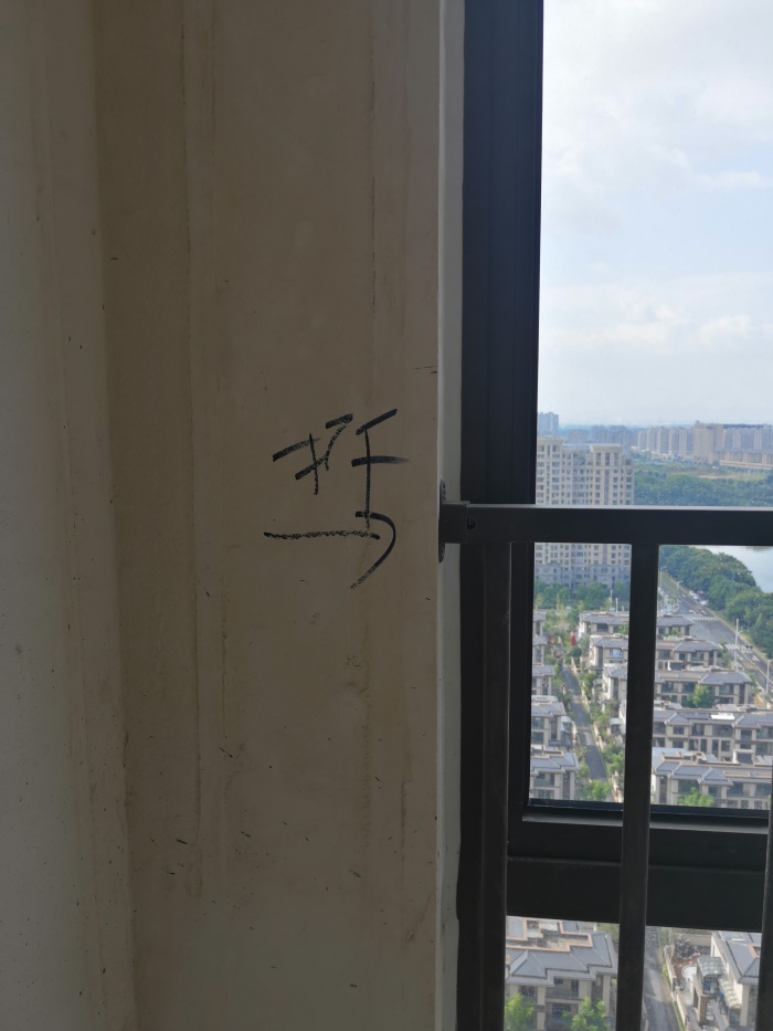IMG_20190811_084126.jpg