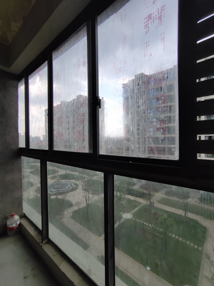 IMG_20190811_094949.jpg