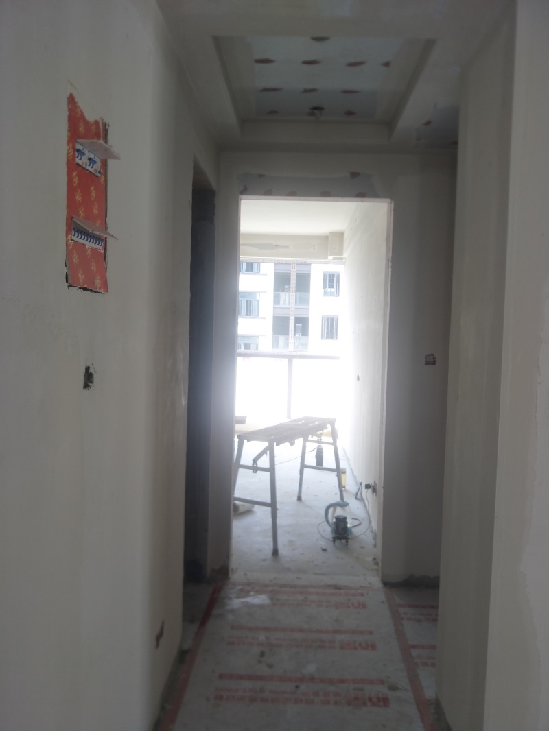 IMG20190811100006.jpg