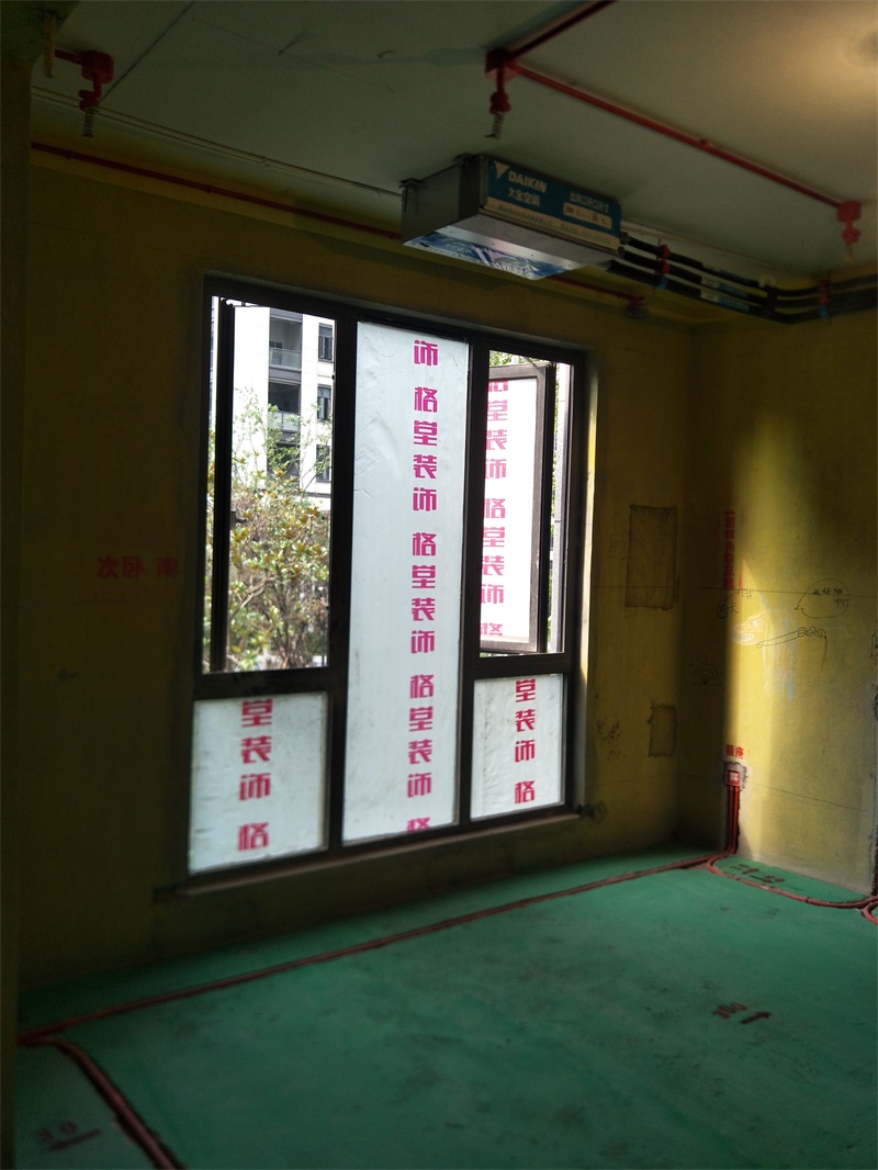 IMG20190813083341.jpg