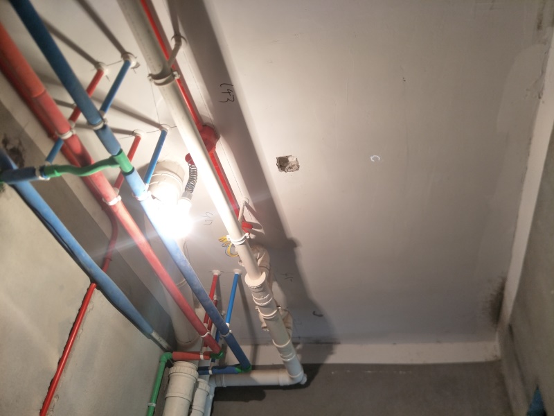 IMG20190813084304.jpg