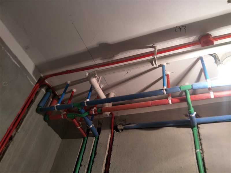 IMG20190813084308.jpg