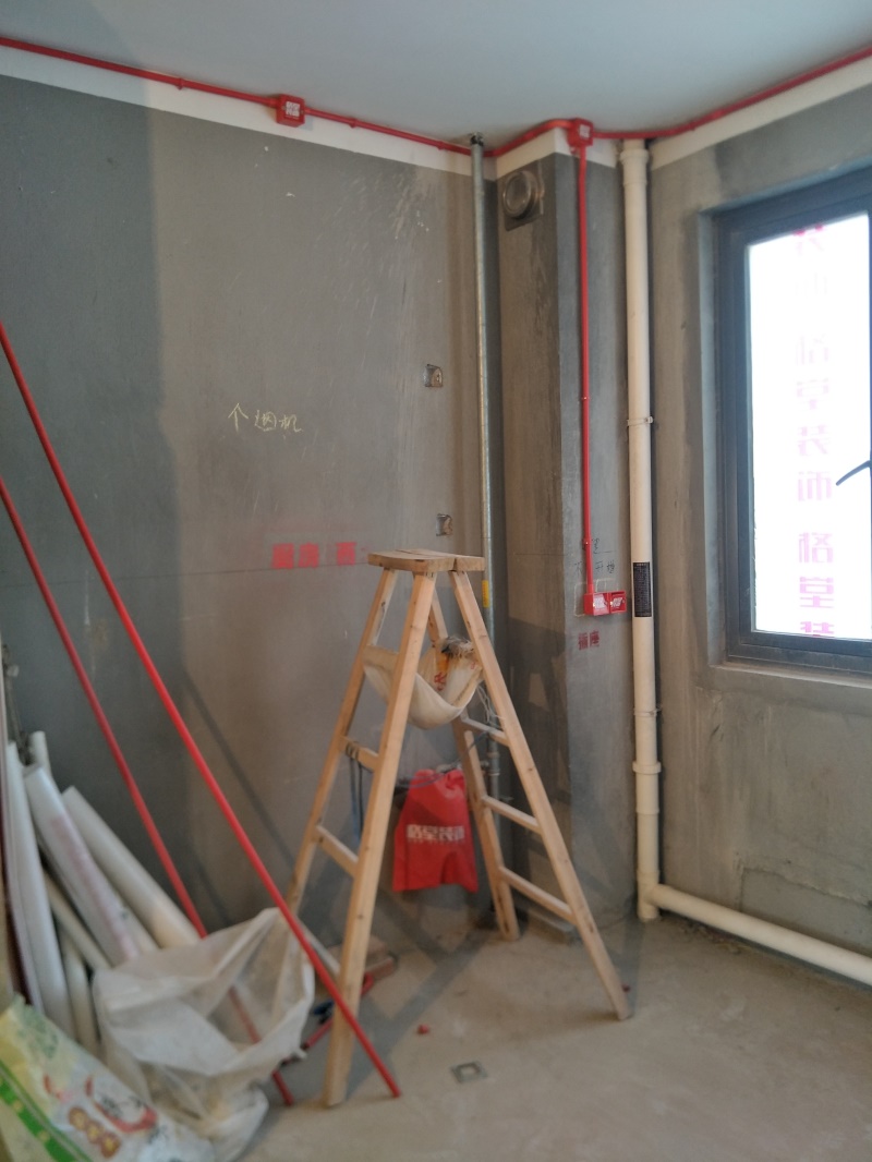IMG20190813084901.jpg