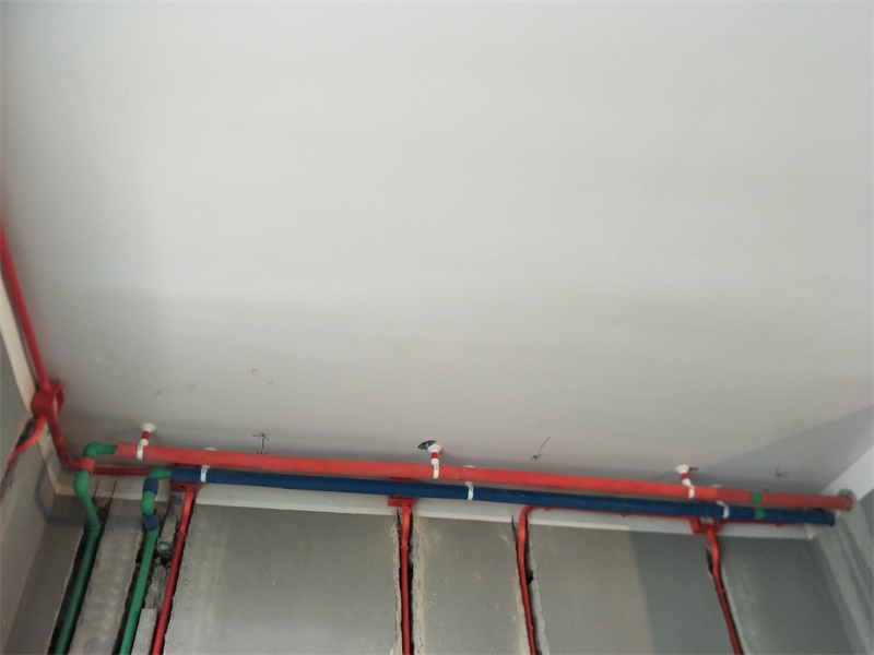 IMG20190813084933.jpg