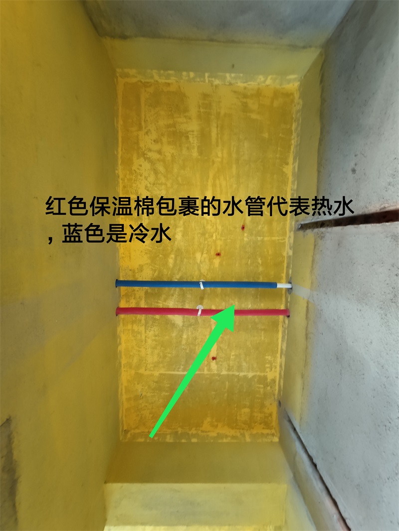 IMG_20190814_091551.jpg
