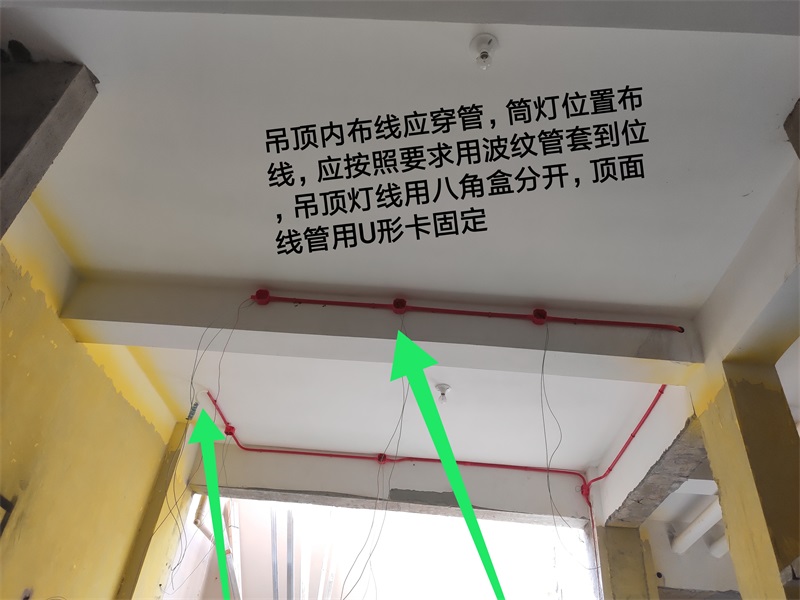 IMG_20190814_095616.jpg