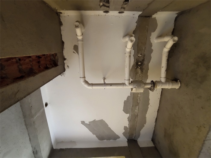 IMG_20190815_140225.jpg