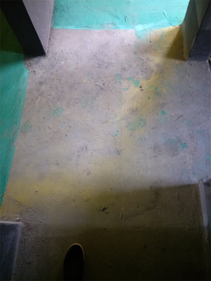 IMG20190515104702.jpg