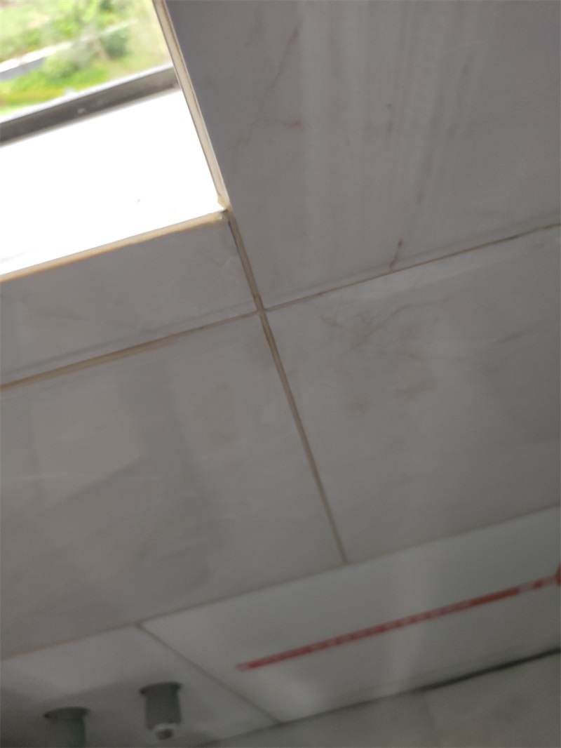 IMG_20190809_100309.jpg