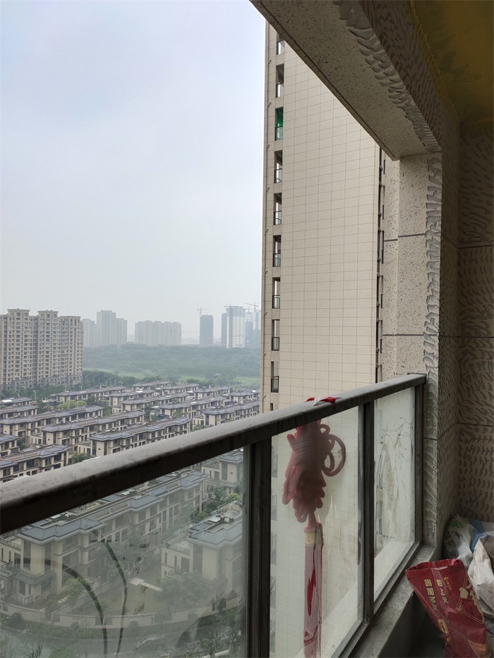 IMG_20190601_093357.jpg