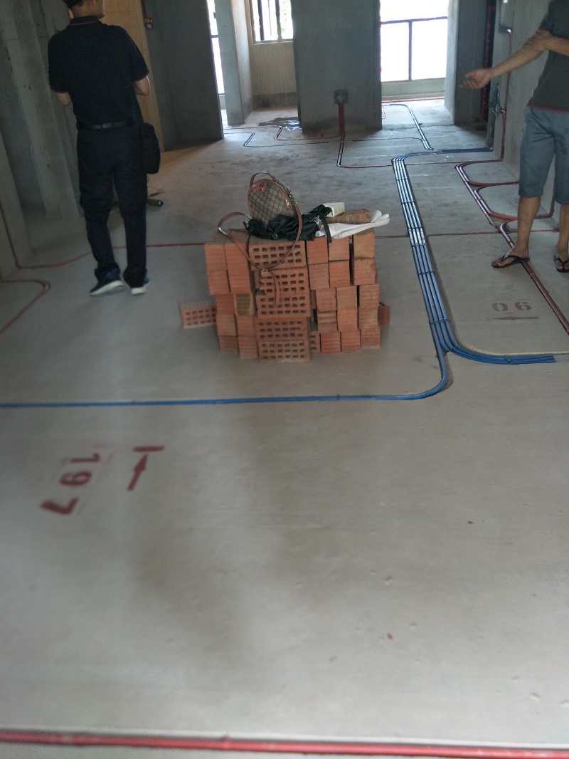 IMG20190812104039.jpg