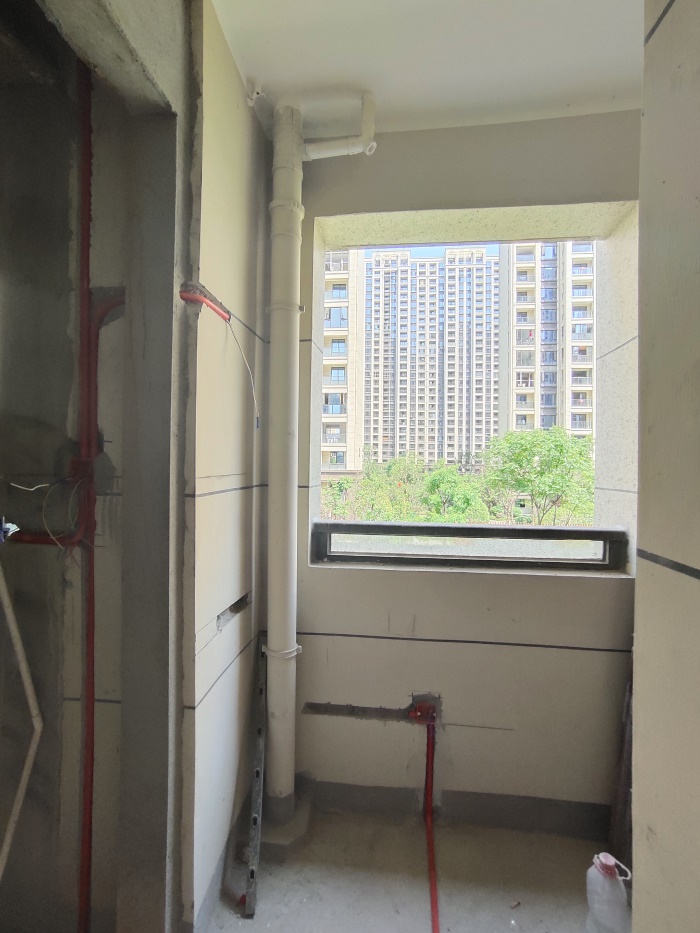 IMG_20190819_102239.jpg