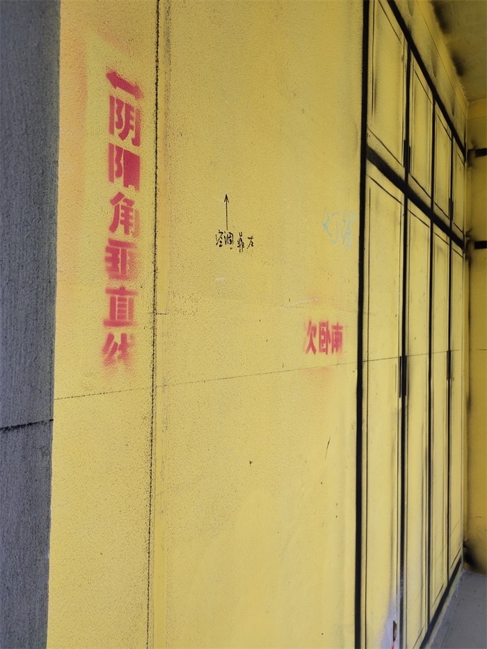 IMG_20190819_102416.jpg