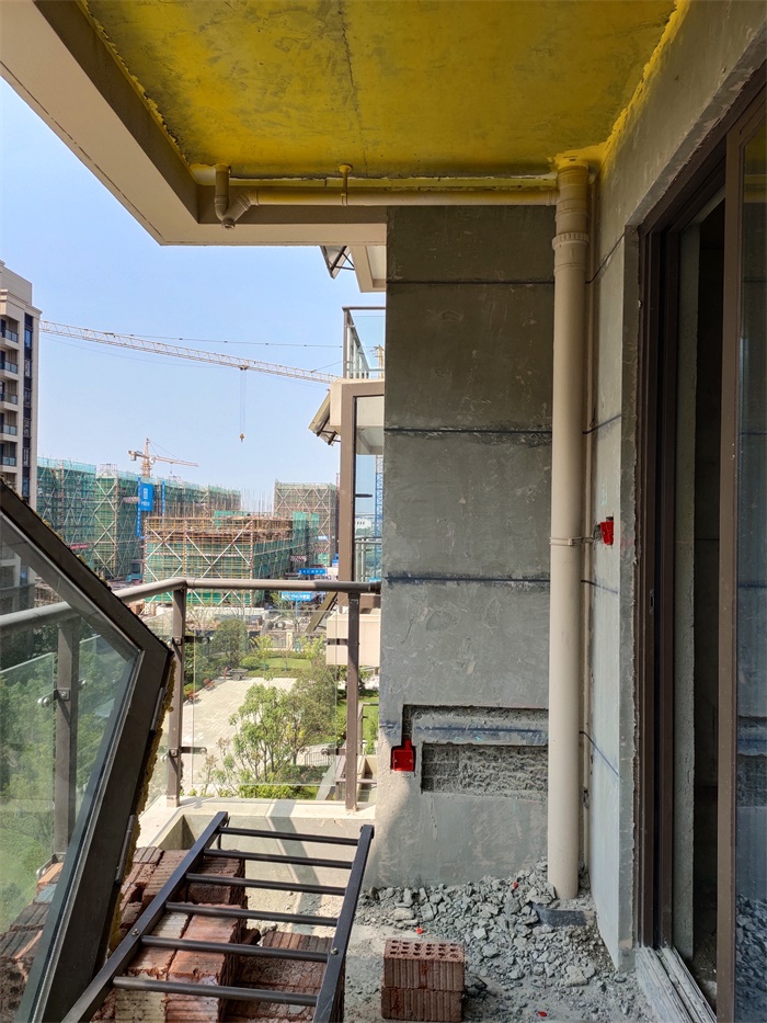IMG_20190820_095658.jpg