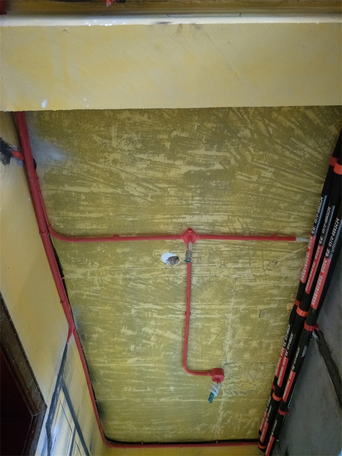 IMG20190520083944.jpg