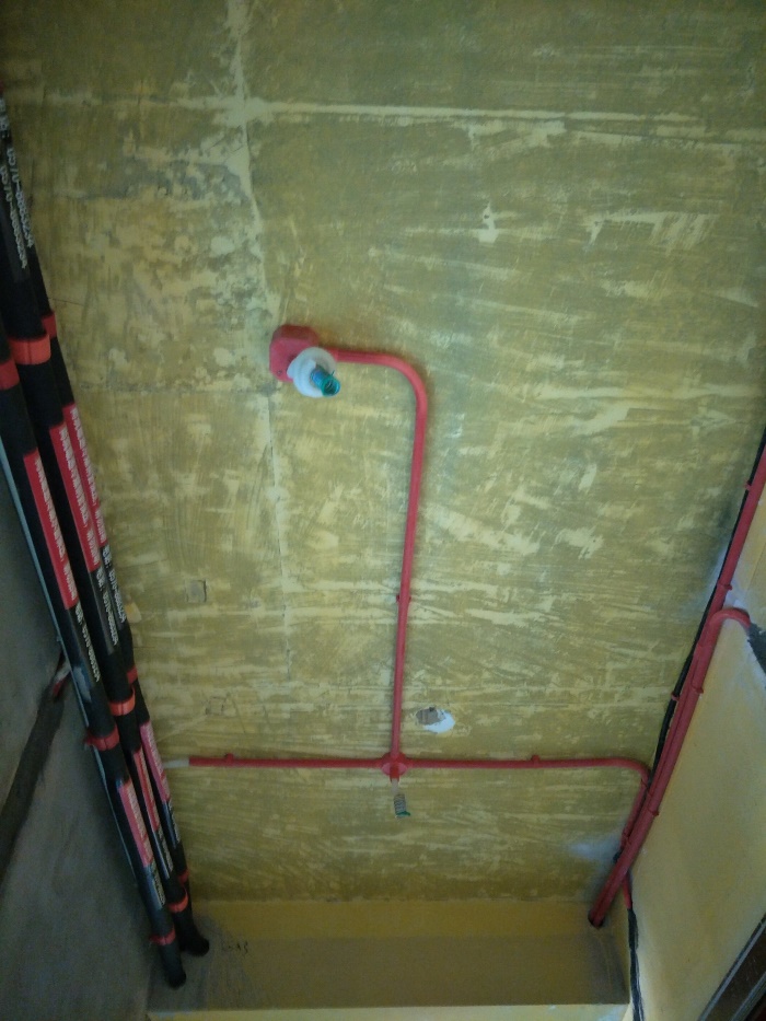 IMG20190520084005.jpg