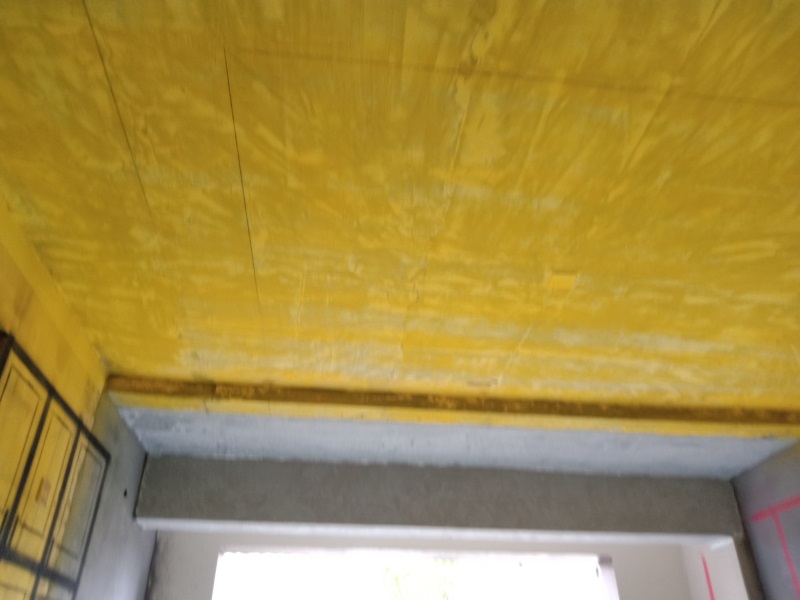 IMG_20190512_161604.jpg