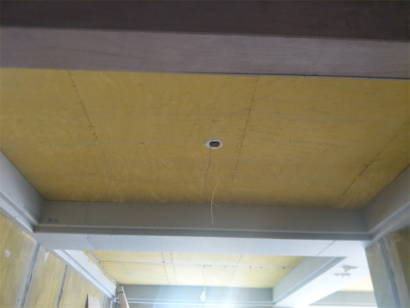IMG20190814081215.jpg