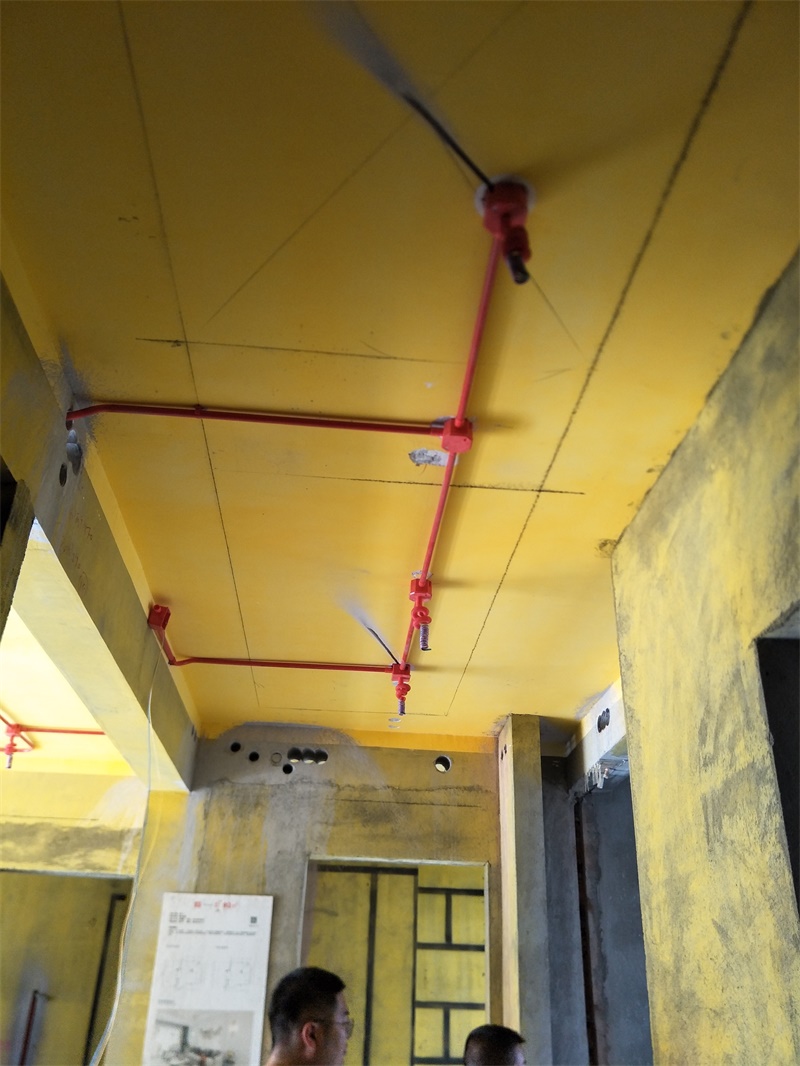 IMG20190816093316.jpg