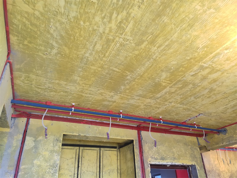 IMG_20190805_161105.jpg