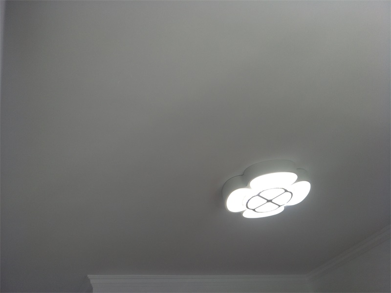 IMG20190816131125.jpg