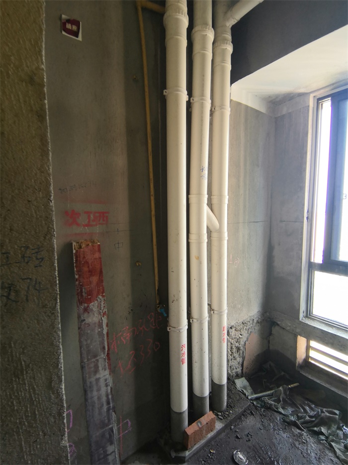 IMG_20190822_104935.jpg