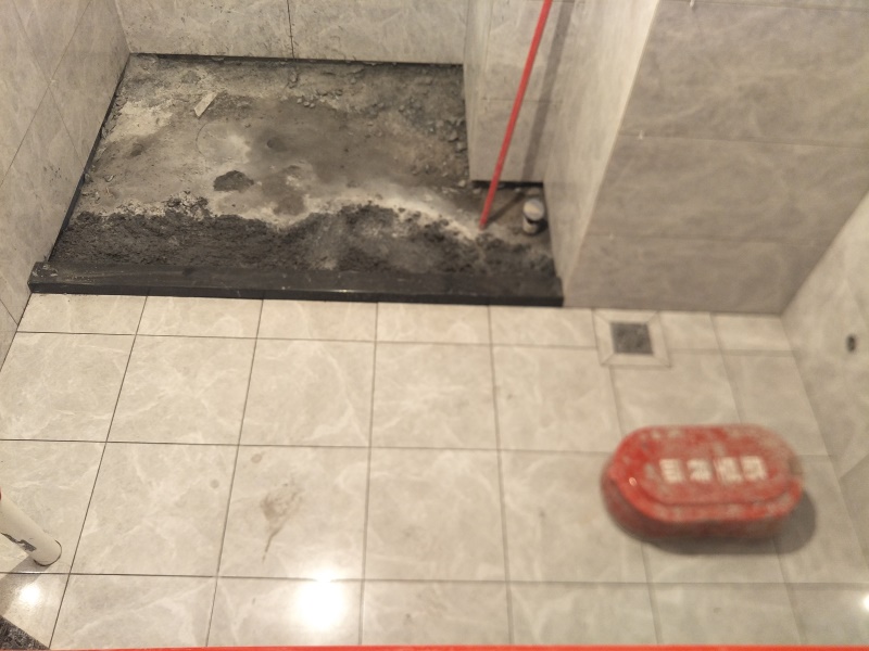 IMG20190822160135.jpg