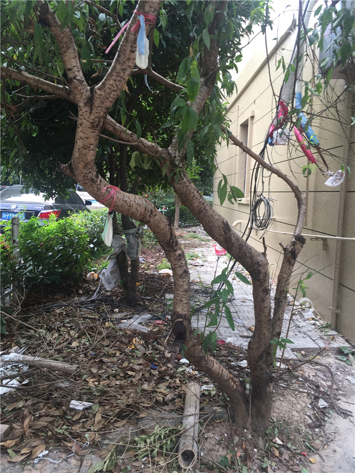 IMG_4402.JPG
