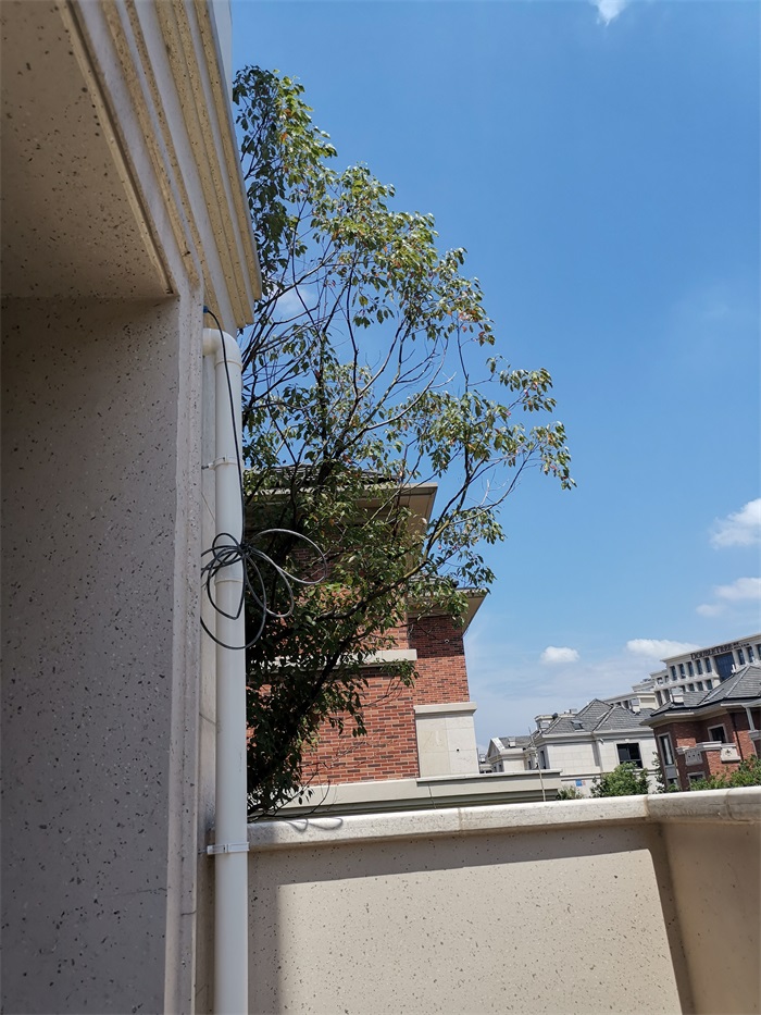 IMG_20190804_134816.jpg