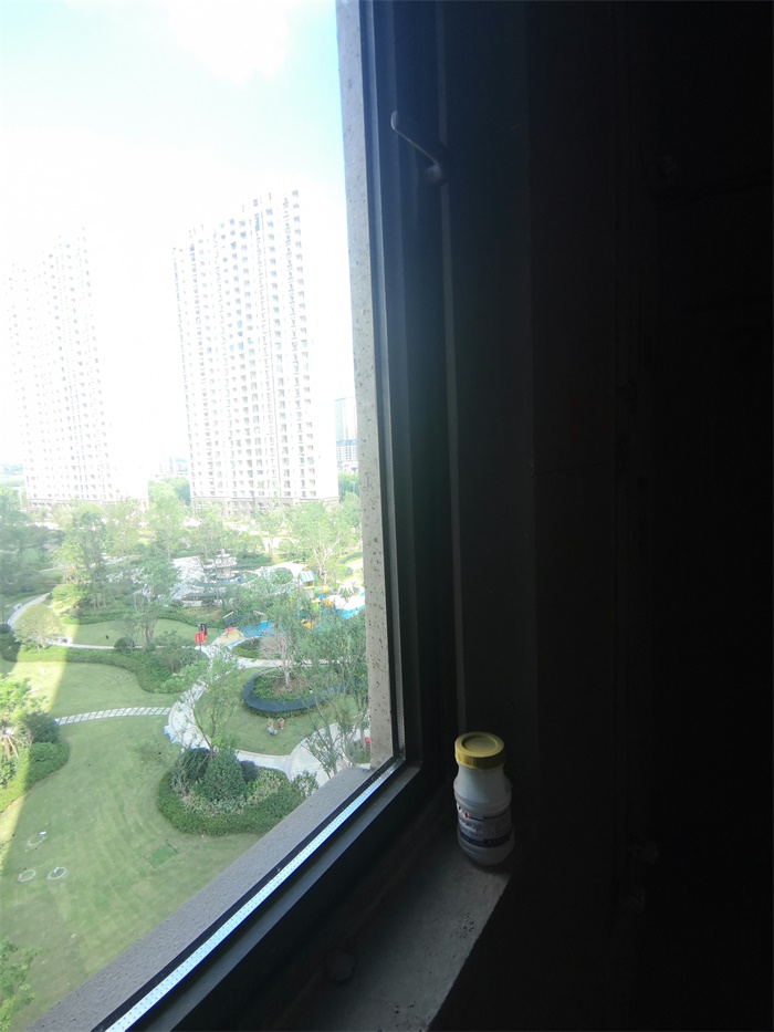 IMG_20190824_083513.jpg