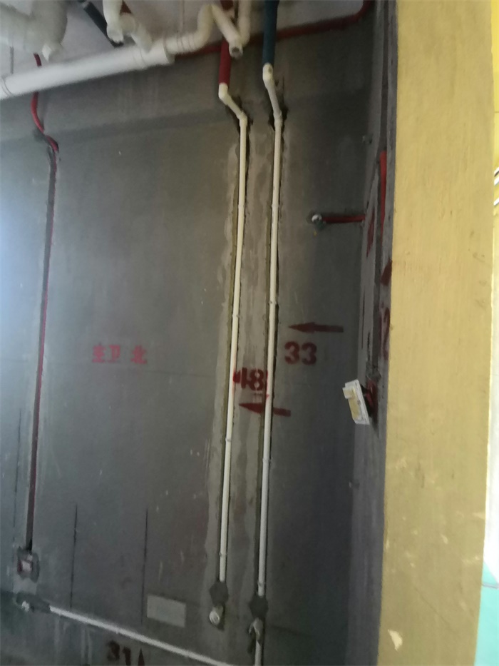 IMG_20190824_084226.jpg